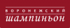 logo-voronezh_shamp[1]